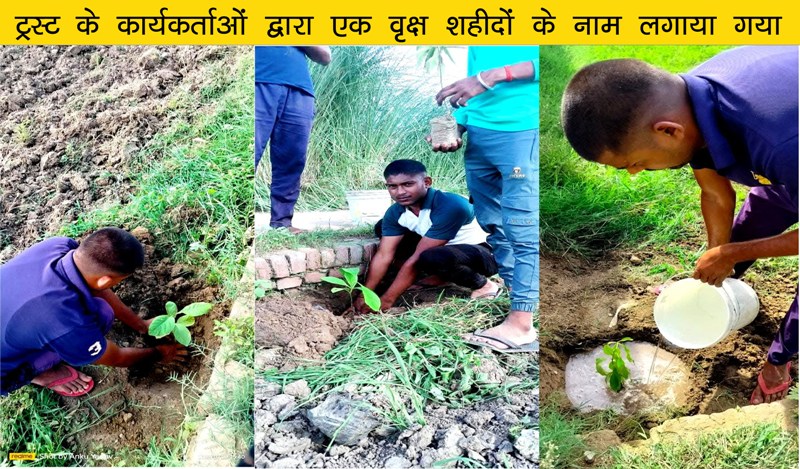 Briksharopan abhiyan